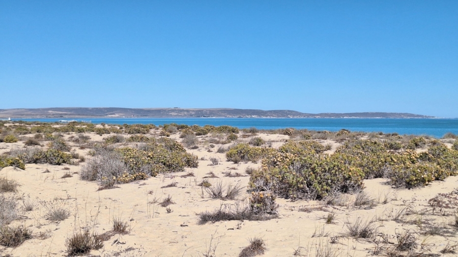 0 Bedroom Property for Sale in Atlantic Waves Estate Western Cape